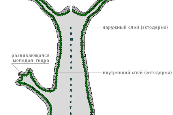 Как найти официальный сайт кракен